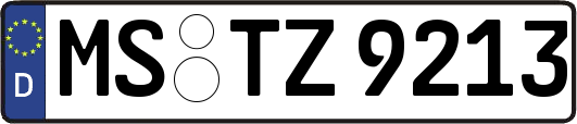 MS-TZ9213