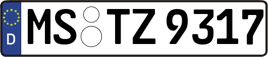 MS-TZ9317