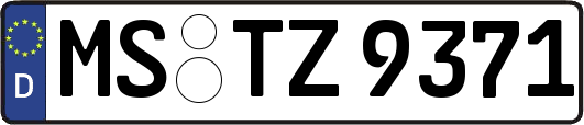 MS-TZ9371