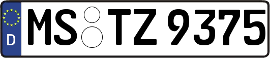 MS-TZ9375