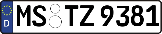 MS-TZ9381
