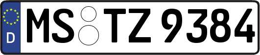 MS-TZ9384