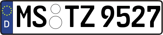 MS-TZ9527