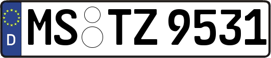 MS-TZ9531