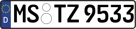 MS-TZ9533