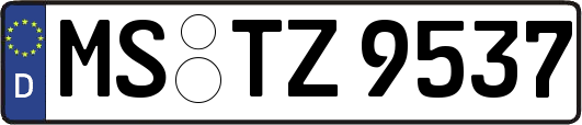 MS-TZ9537