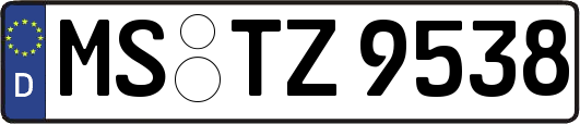 MS-TZ9538