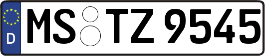 MS-TZ9545
