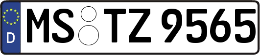 MS-TZ9565