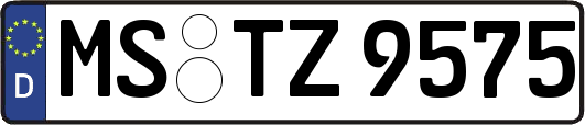 MS-TZ9575