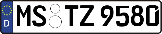 MS-TZ9580