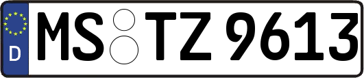 MS-TZ9613