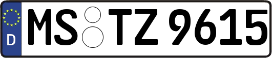 MS-TZ9615