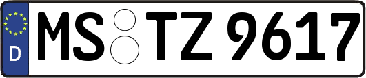 MS-TZ9617