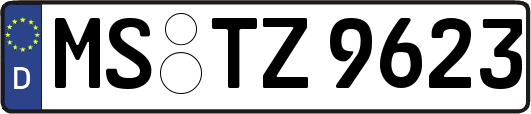 MS-TZ9623