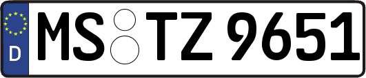 MS-TZ9651