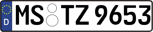 MS-TZ9653