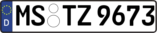 MS-TZ9673