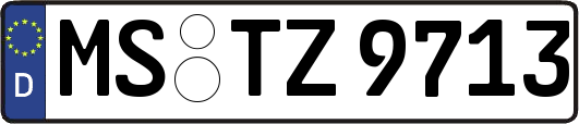 MS-TZ9713