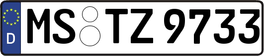 MS-TZ9733