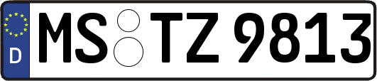 MS-TZ9813