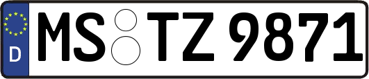 MS-TZ9871