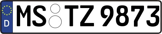 MS-TZ9873