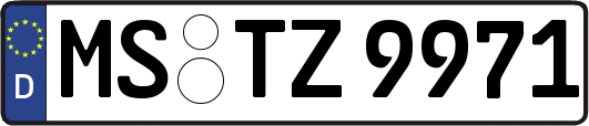 MS-TZ9971