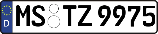 MS-TZ9975