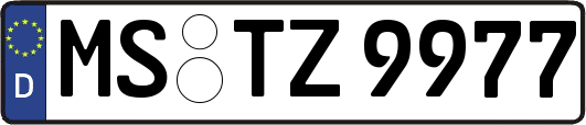 MS-TZ9977
