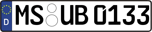 MS-UB0133