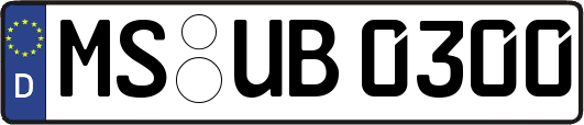 MS-UB0300
