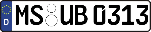 MS-UB0313