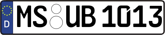 MS-UB1013