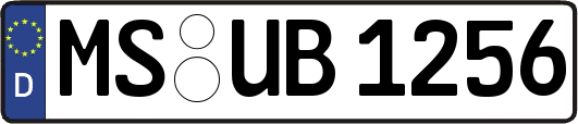 MS-UB1256