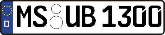 MS-UB1300
