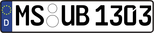 MS-UB1303