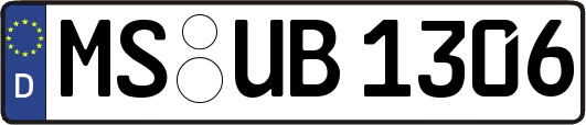 MS-UB1306