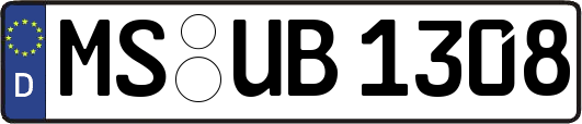 MS-UB1308