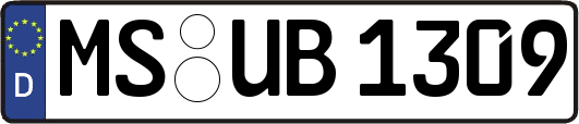 MS-UB1309