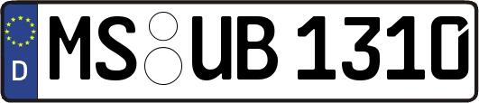 MS-UB1310