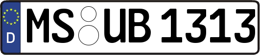 MS-UB1313