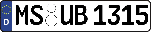 MS-UB1315
