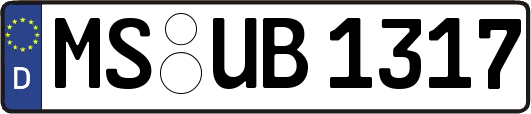 MS-UB1317