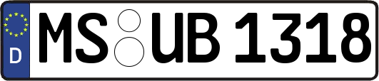 MS-UB1318
