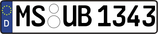MS-UB1343