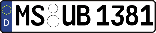 MS-UB1381