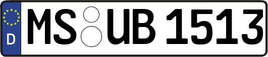 MS-UB1513