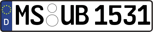 MS-UB1531