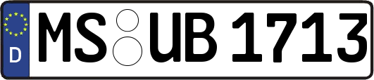 MS-UB1713